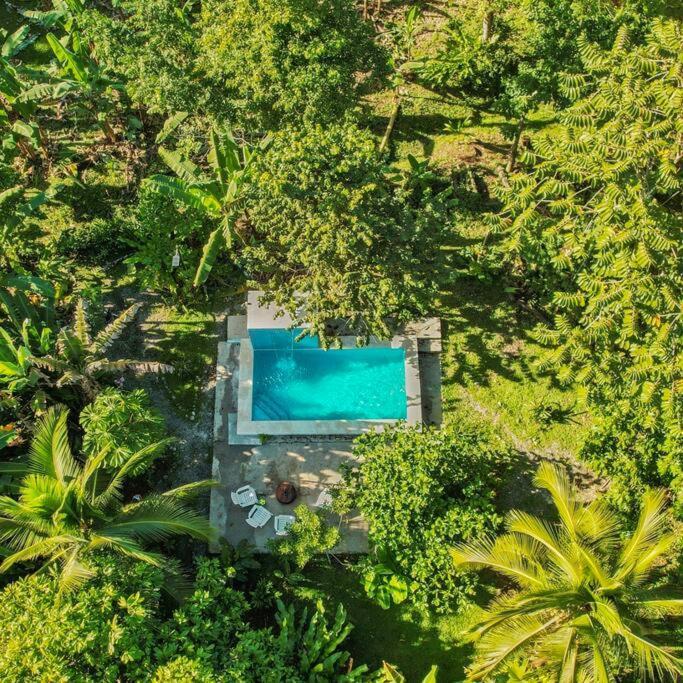 Finca D'Elia Lodge Пуерто Лимон Екстериор снимка
